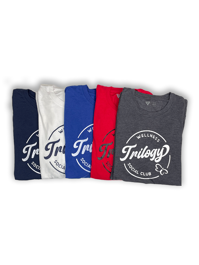 Mens Wellness Tee