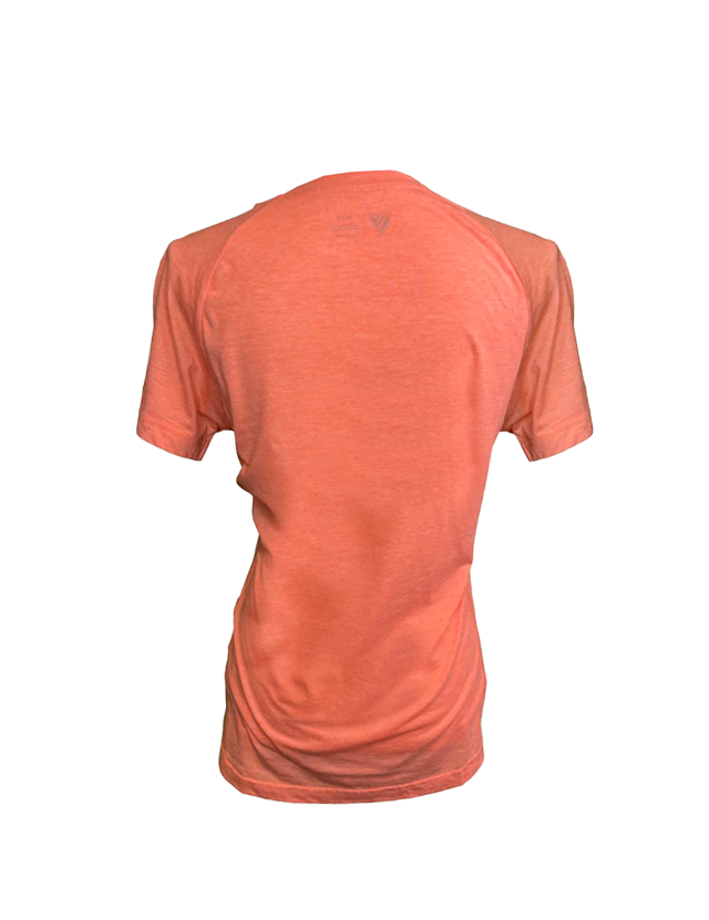 orange_1.png