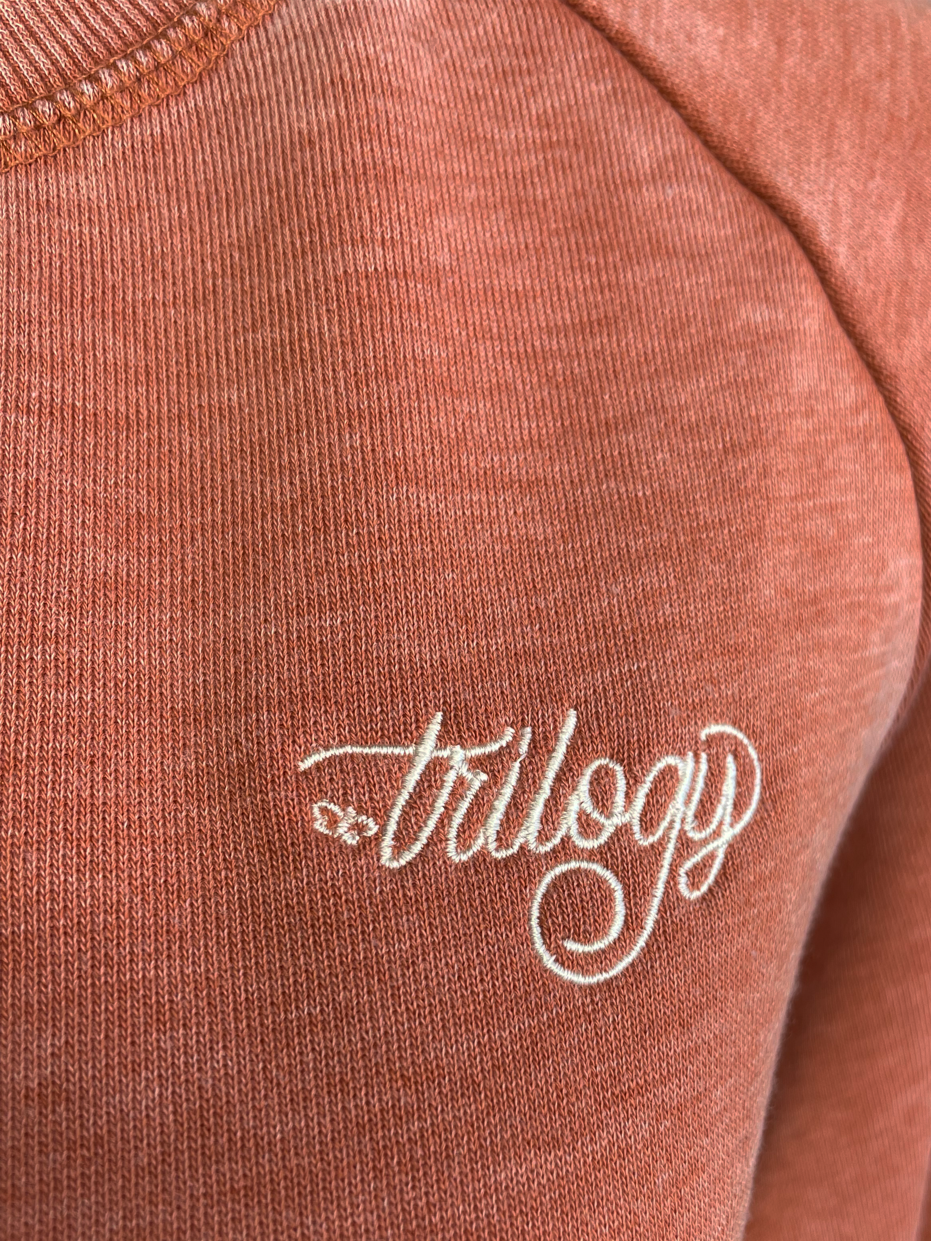 Trilogy Embroidered French-terry sweatshirt
